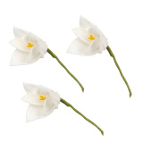 Vita Liljor 3 st Vita Liljor 3 st