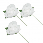 Vita Rosor 3 st Vita Rosor 3 st