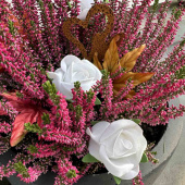 Vita Rosor 3 st Vita Rosor 3 st