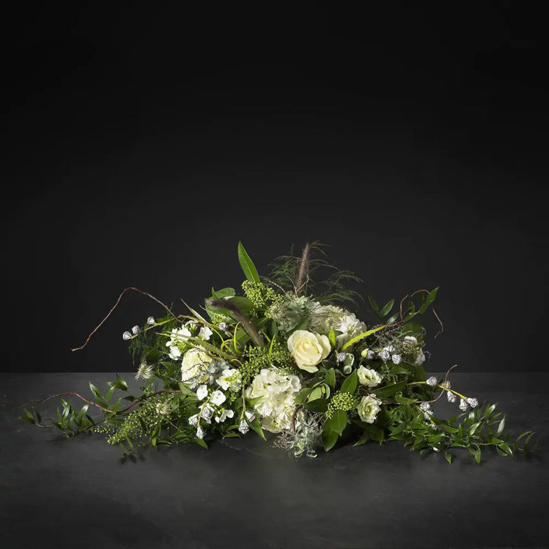 Stickmassa / Oasis Bio