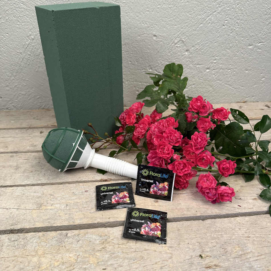 Stickmassa / Oasis Bio Foam Floral Maxlife (20 st)