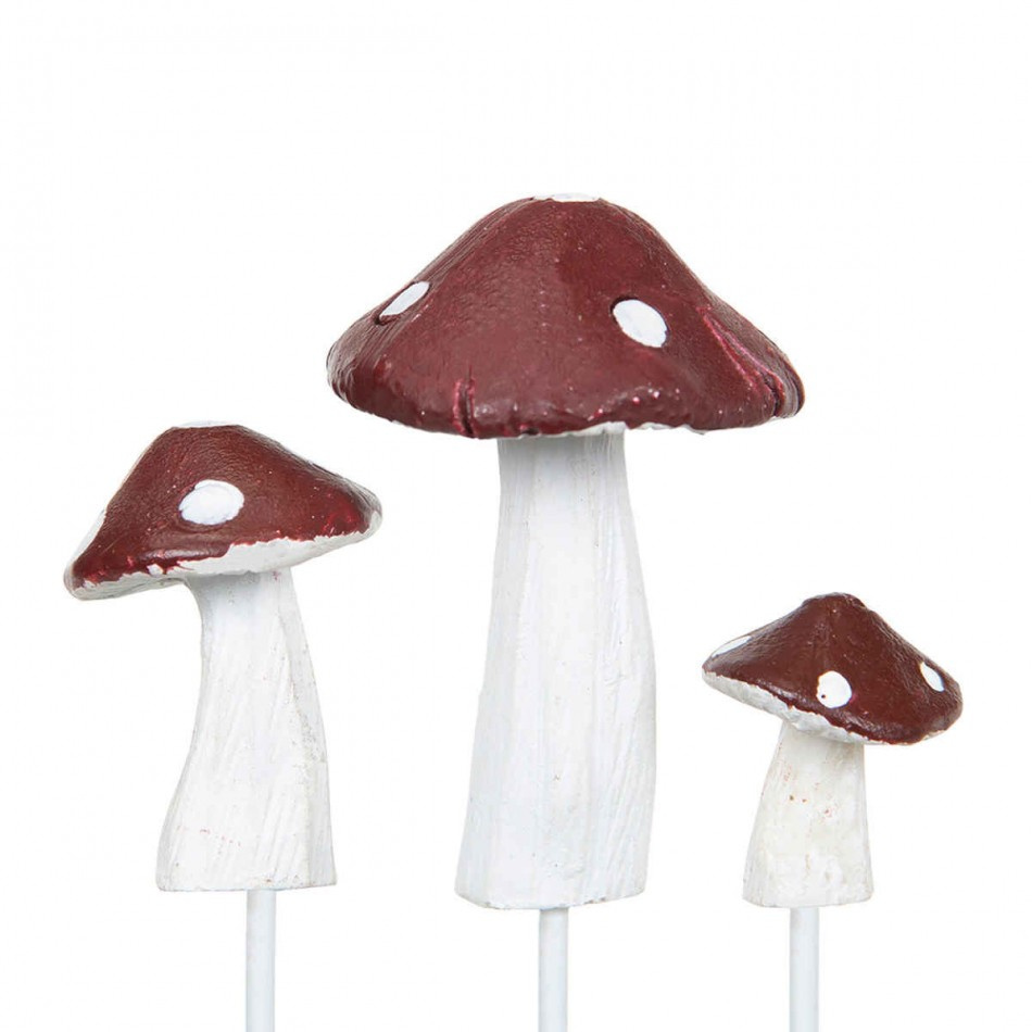 Svampar i 3 storlekar