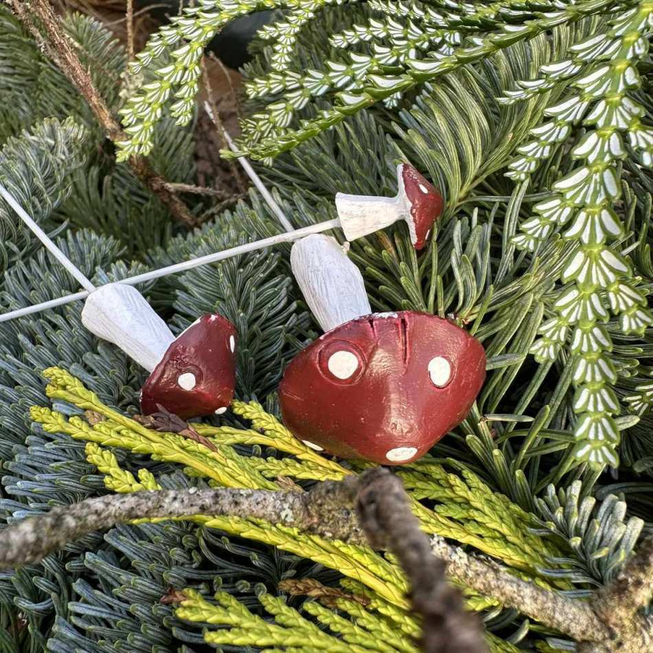 Svampar i 3 storlekar