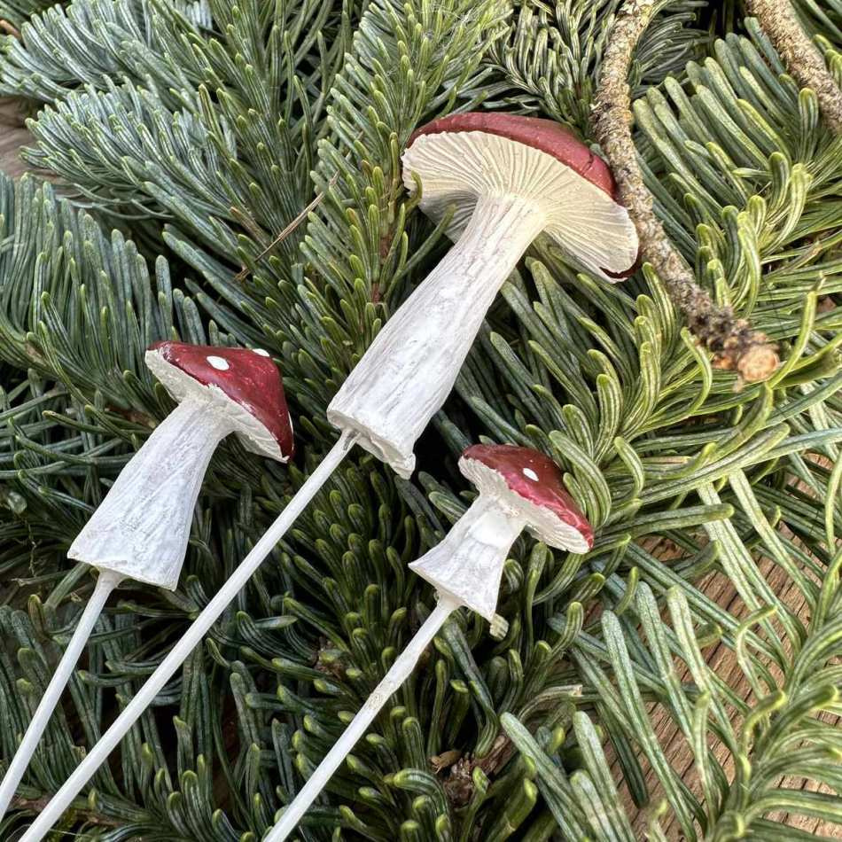 Svampar i 3 storlekar