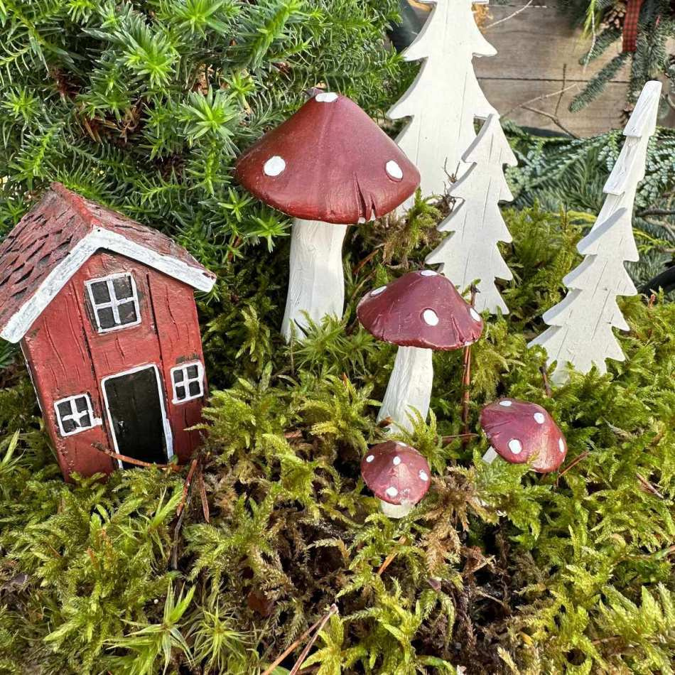 Svampar i 3 storlekar