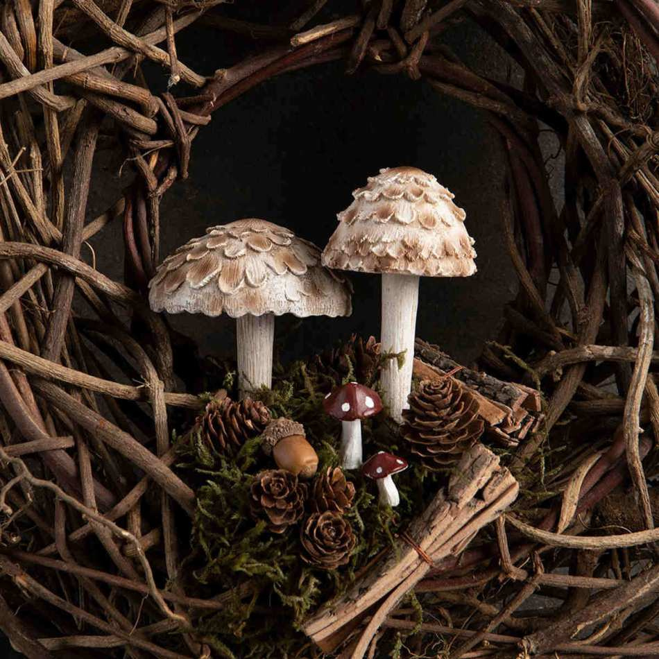Svampar i 3 storlekar