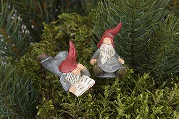 Lilltomte, 2 olika. 3,5-4 cm