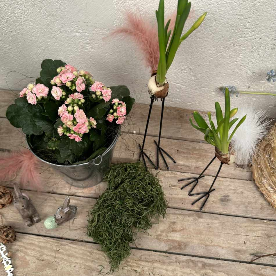 Lökfötter/Kycklingfötter, 15 cm 