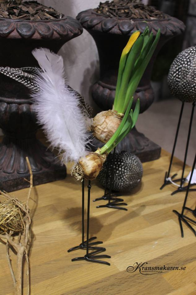 Lökfötter/Kycklingfötter, 15 cm 