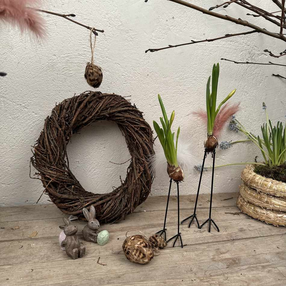 Lökfötter/Kycklingfötter, 20 cm 