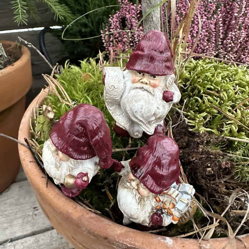 Tomte, Knubbig, Röd, 3-olika, 6cm