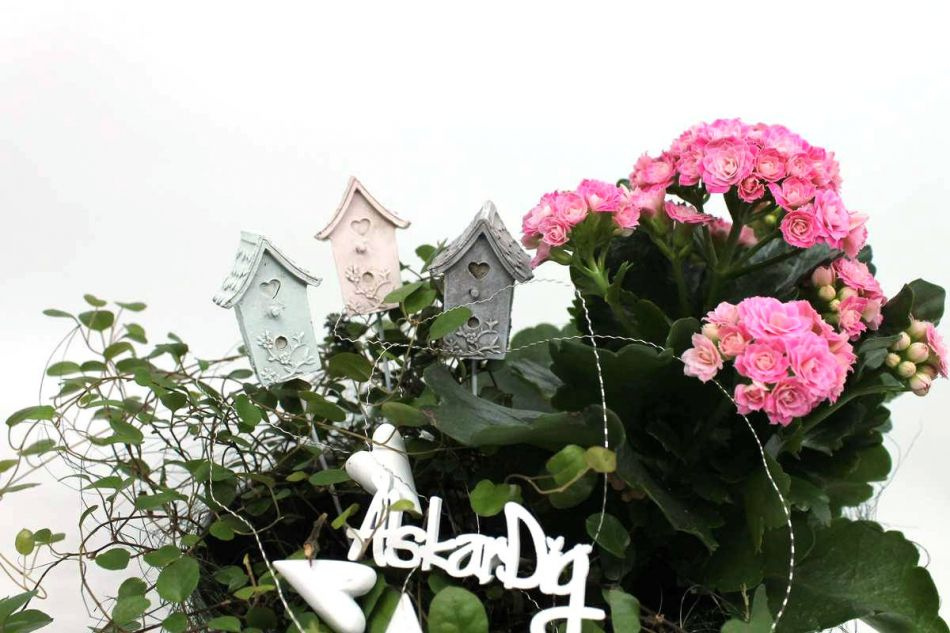 Fågelholkar i 3 färger. 5x3 cm