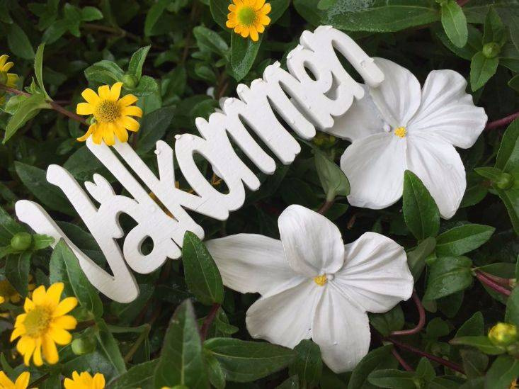 Blommor i blomsterarrangemang
