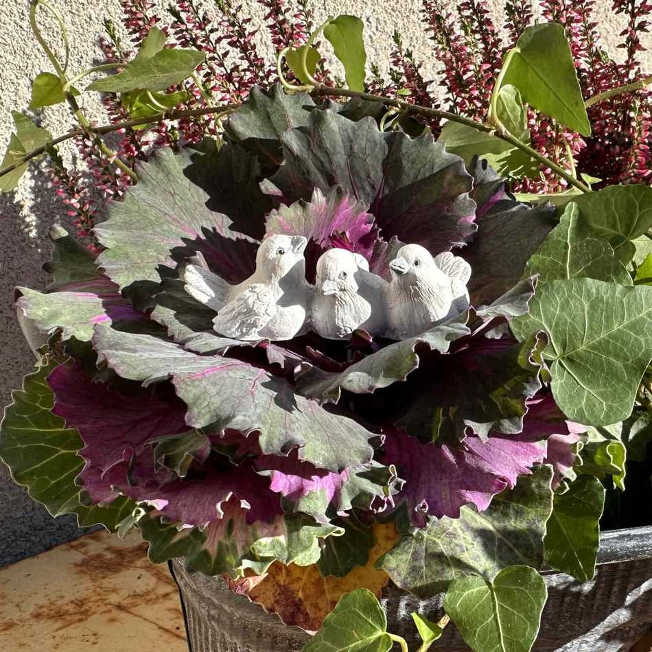 Fåglar, vit/grå. ca 7 cm.