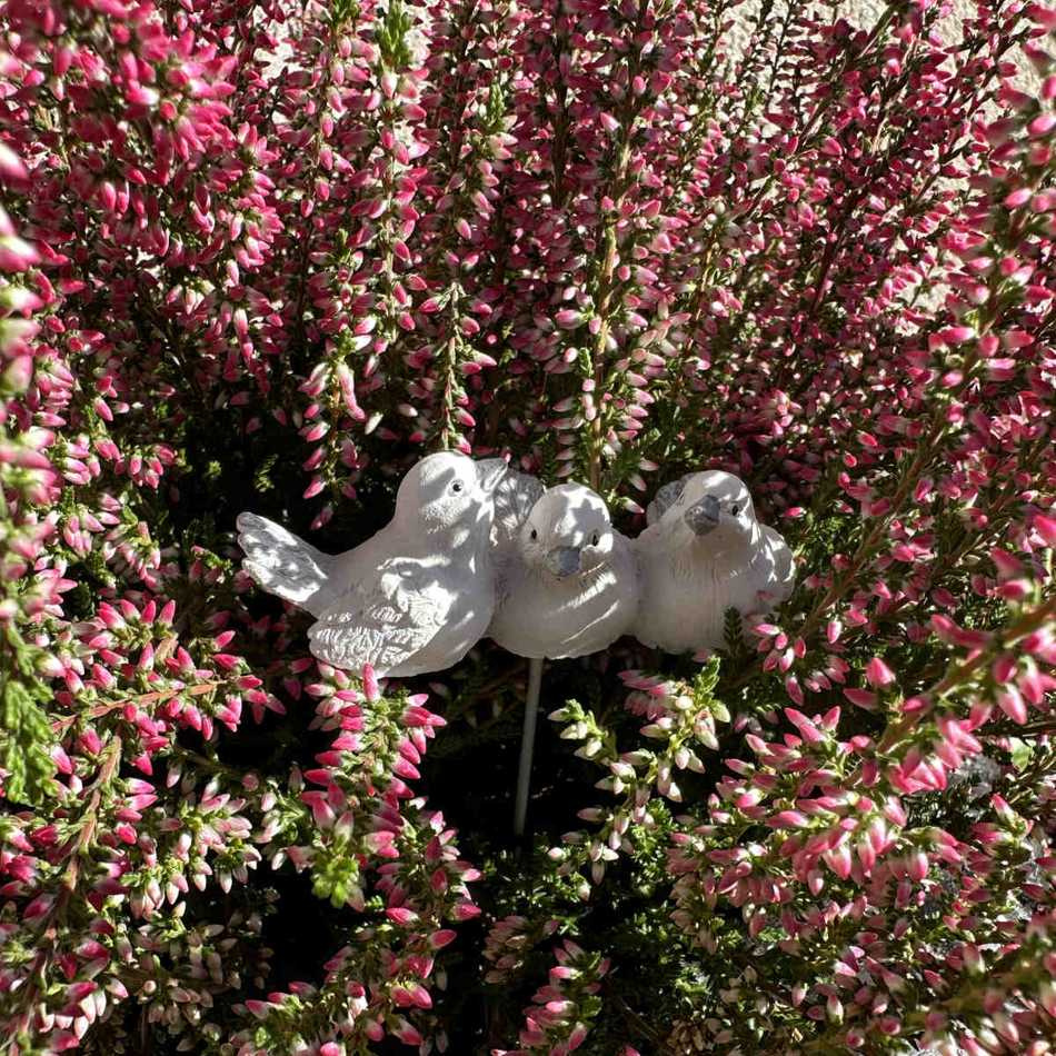 Fåglar, vit/grå. ca 7 cm.