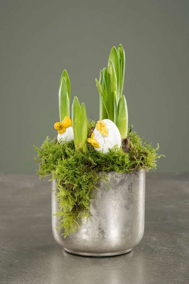 Kycklingar med ägg, 3 st.olika