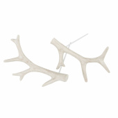 Renhorn, 2 olika Renhorn, 2 olika