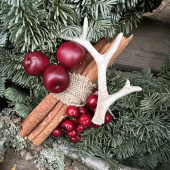 Renhorn, 2 olika Renhorn, 2 olika