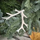 Renhorn, 2 olika Renhorn, 2 olika