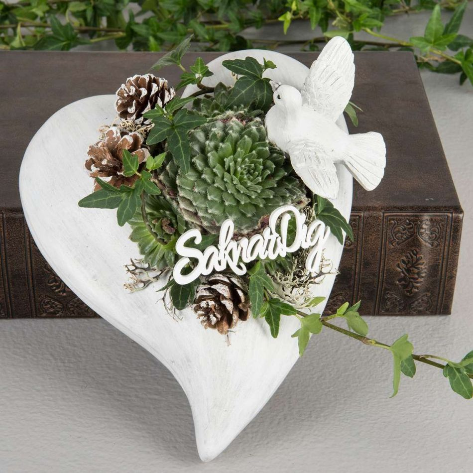 Duvor. Vita 8-9cm (2 olika)