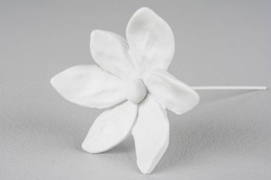 Vita blommor för dekoration