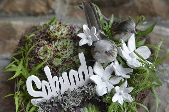 Blommorna finns i olika storlekar