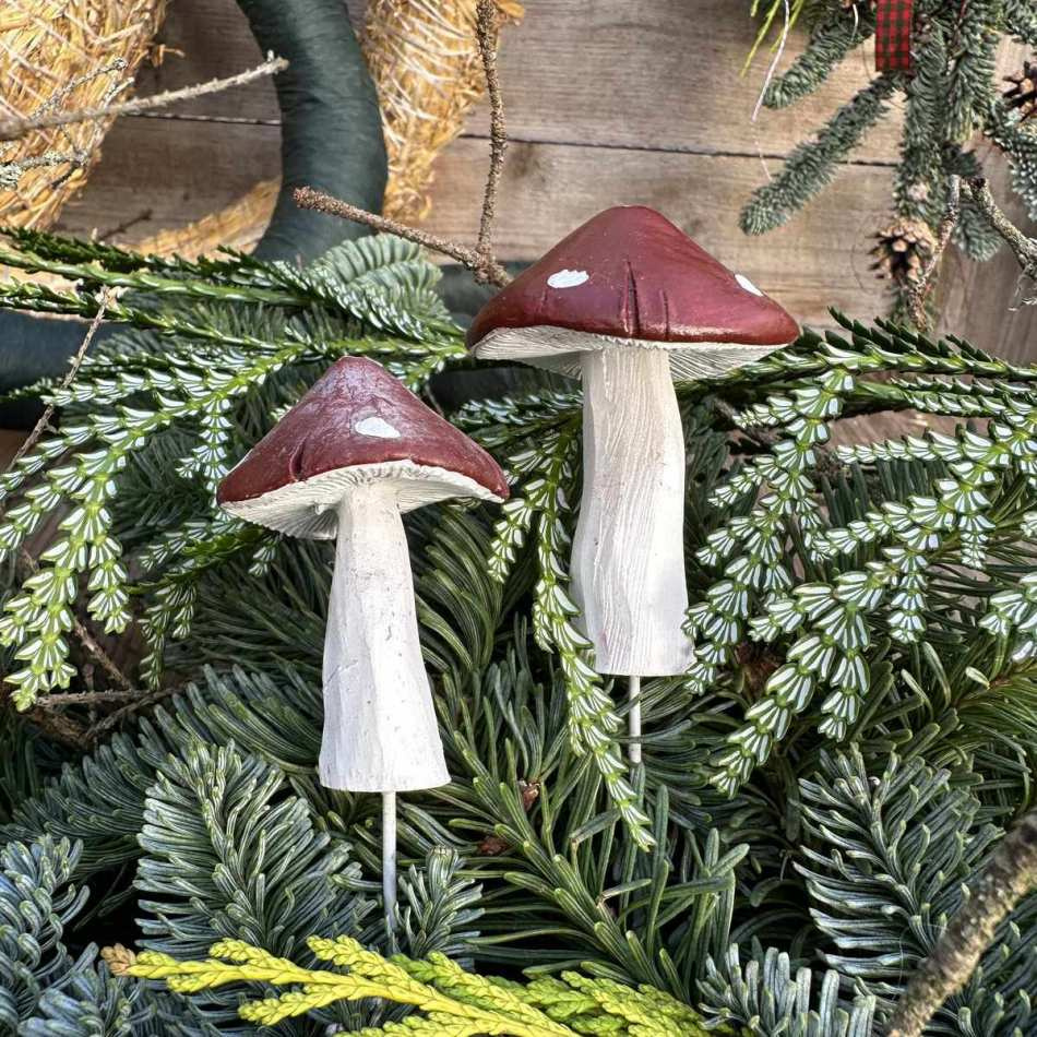 Svampar 2 st olika storlekar