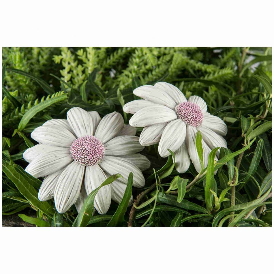 Blomma / prästkrage, 6,5 cm.