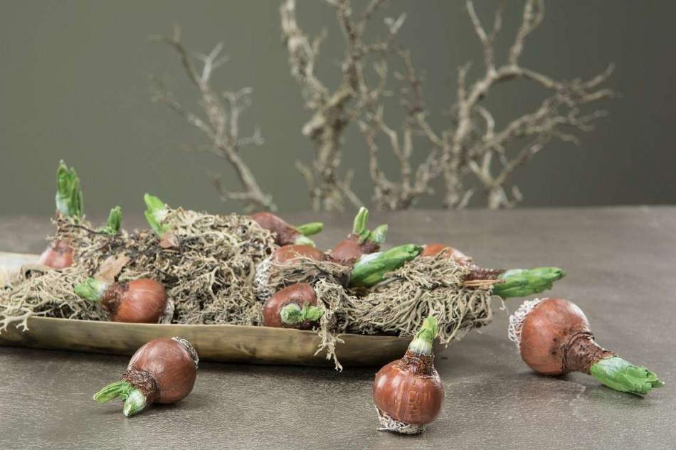 Påskliljelökar konstgjorda. ca 6x4 cm ( 2 st )