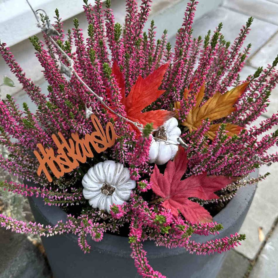 Pumpor vita 2 st olika