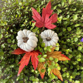 Pumpor vita 2 st olika Pumpor vita 2 st olika