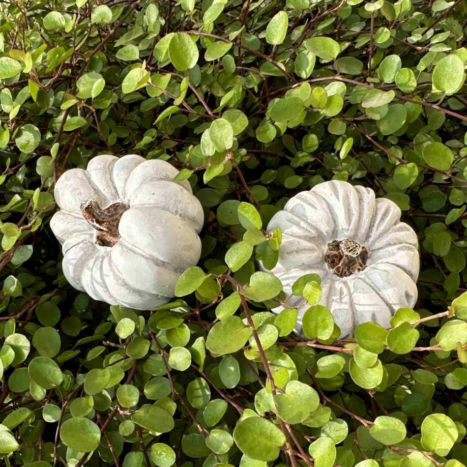 Pumpor vita 2 st olika