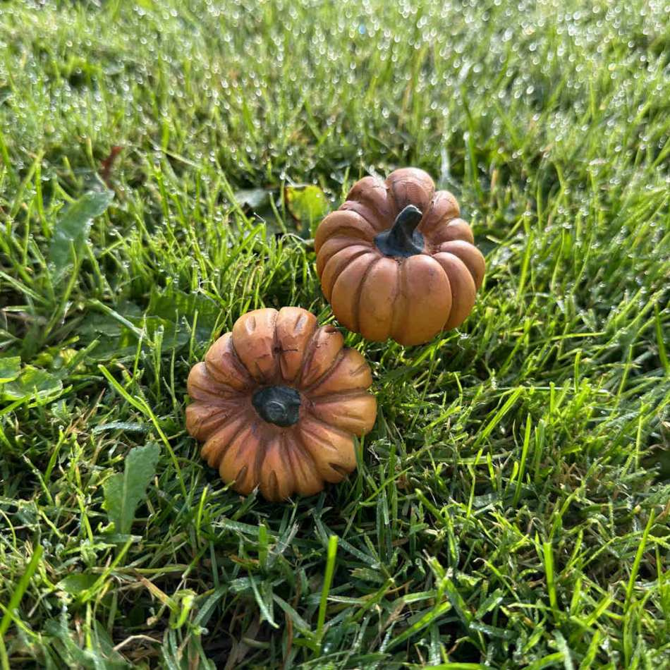 Dekorativt att sätta pumpor i blommor