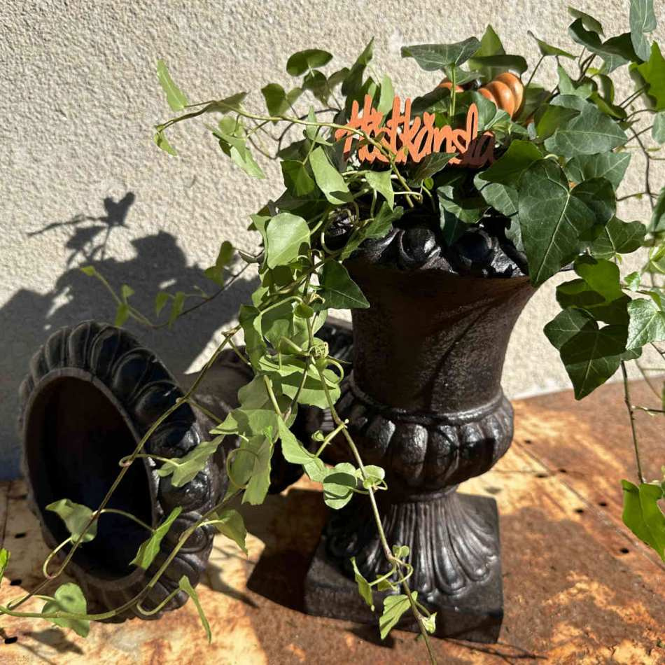 Pumpa, 6 cm. 2 stycken olika