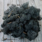 Vitmossa / Fönsterlav, svartgrå. 50g Vitmossa / Fönsterlav, svartgrå. 50g