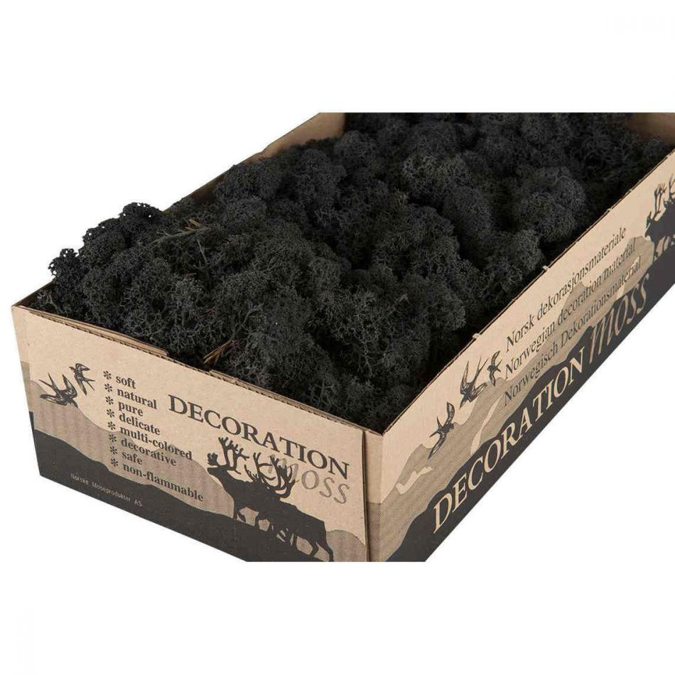 Vitmossa / Fönsterlav, svartgrå. 500g