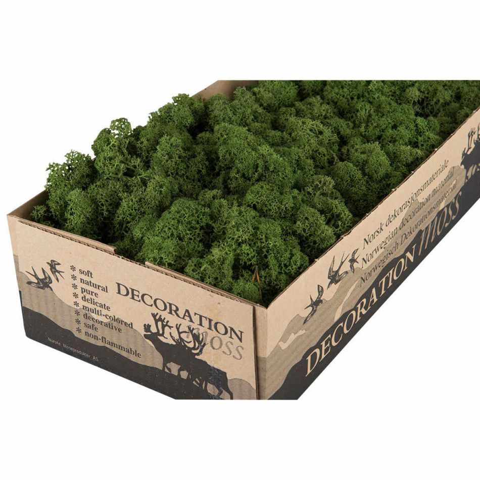 Vitmossa / Fönsterlav, mörkgrön. 50g