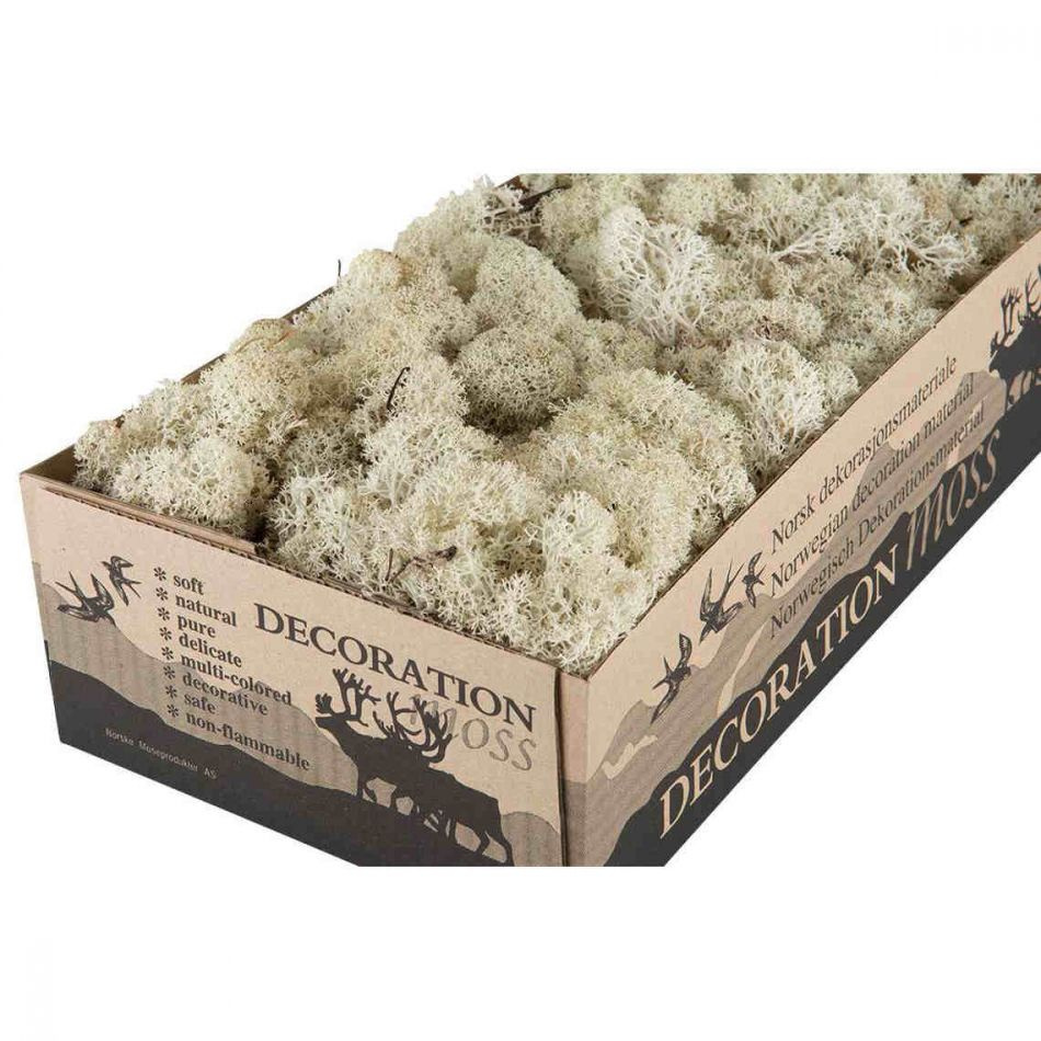 Vitmossa / Fönsterlav, Natur. 50g