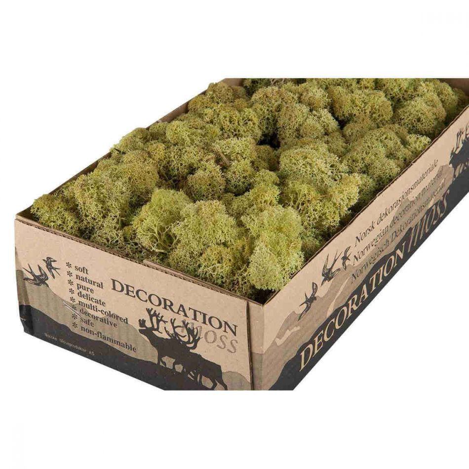 Vitmossa / Fönsterlav, Vårgrön. 500g