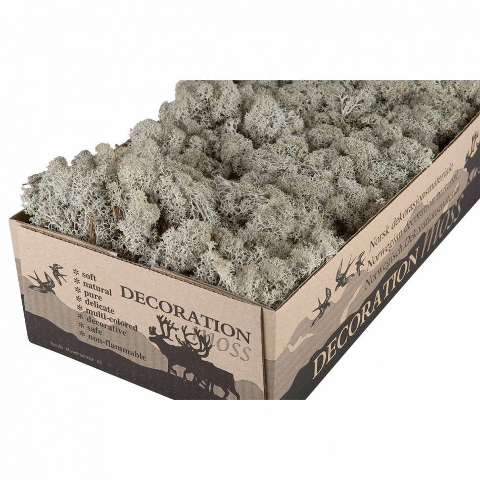 Vitmossa / Fönsterlav, Silvergrå 50g