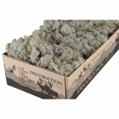 Silvergrå vitmossa/fönsterlav, 50 g Silvergrå vitmossa/fönsterlav för dekoration, 50 g