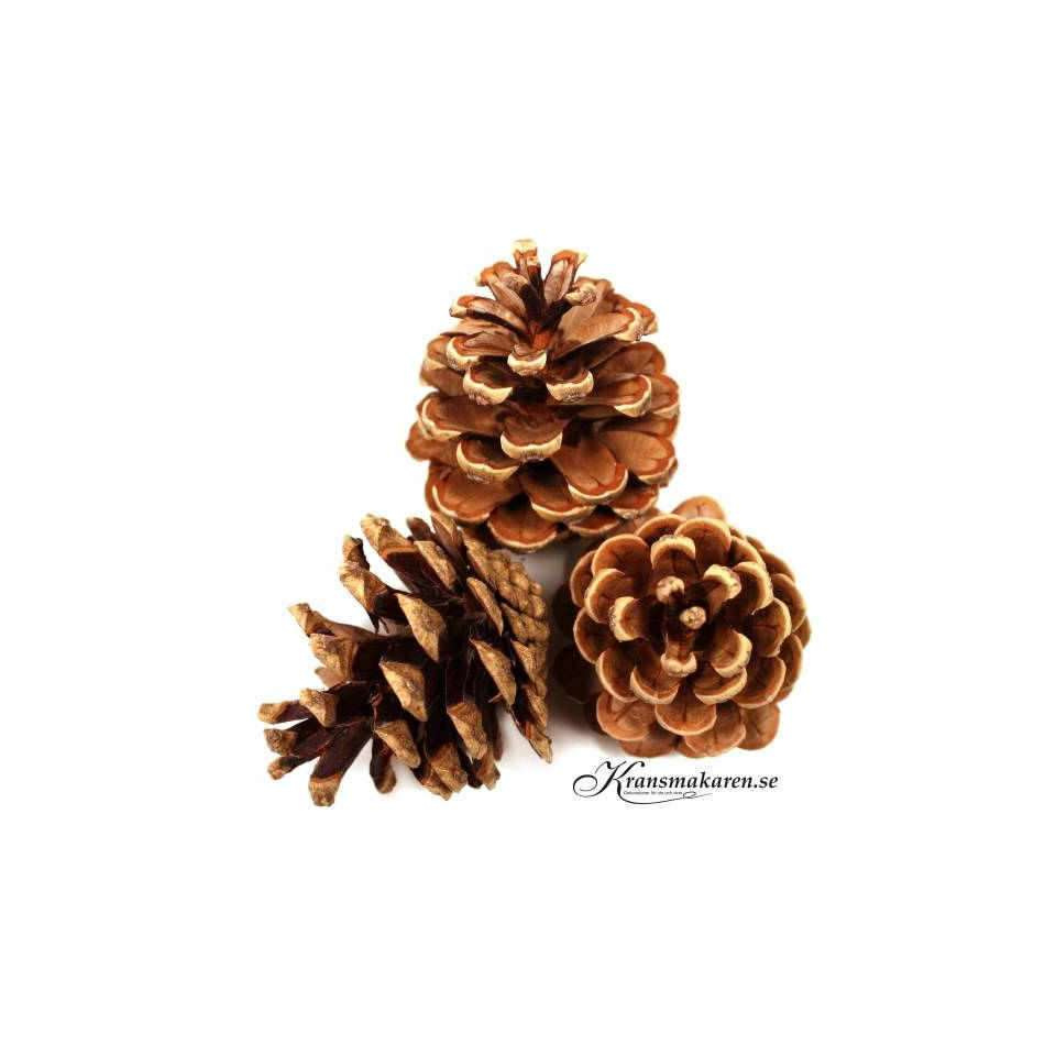 Kottar, ca 4-8 cm. (ca 15st)