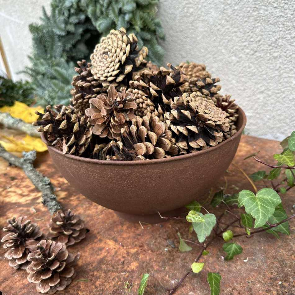 Kottar, ca 4-8 cm. (ca 15st)