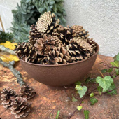 Kottar, ca 4-8 cm. (ca 15st) Kottar, ca 4-8 cm. (ca 15st)