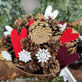 Kottar, ca 4-8 cm. (ca 15st) Kottar, ca 4-8 cm. (ca 15st)