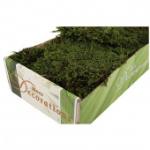 Grön konserverad mossa, 500 g Grön konserverad mossa för blomsterarrangemang och dekoration, 500 g