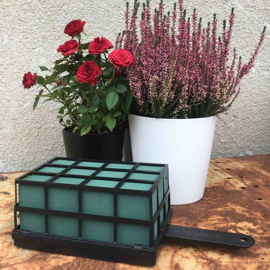 Oasis med handtag, Florette Grande