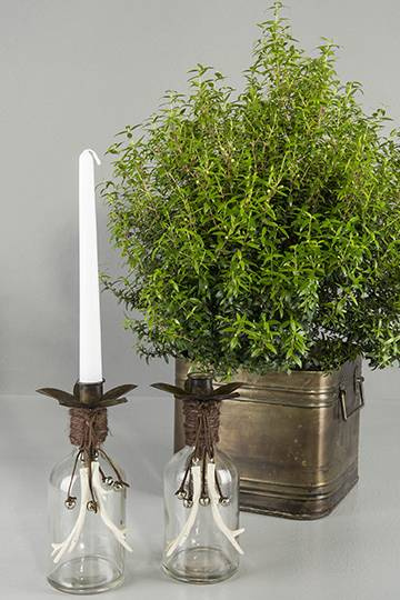 Ljushållare till flaska