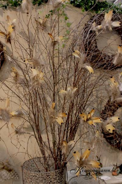 Fjädrar,Brunprickig. 12 st