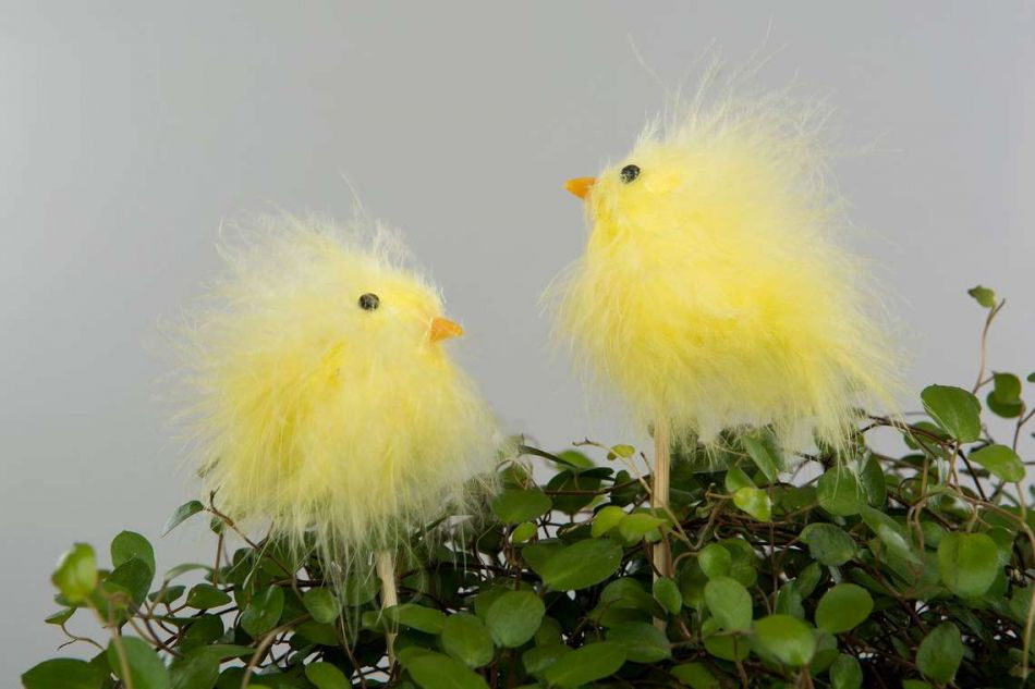 Kyckling / påskkyckling. Mörkgul